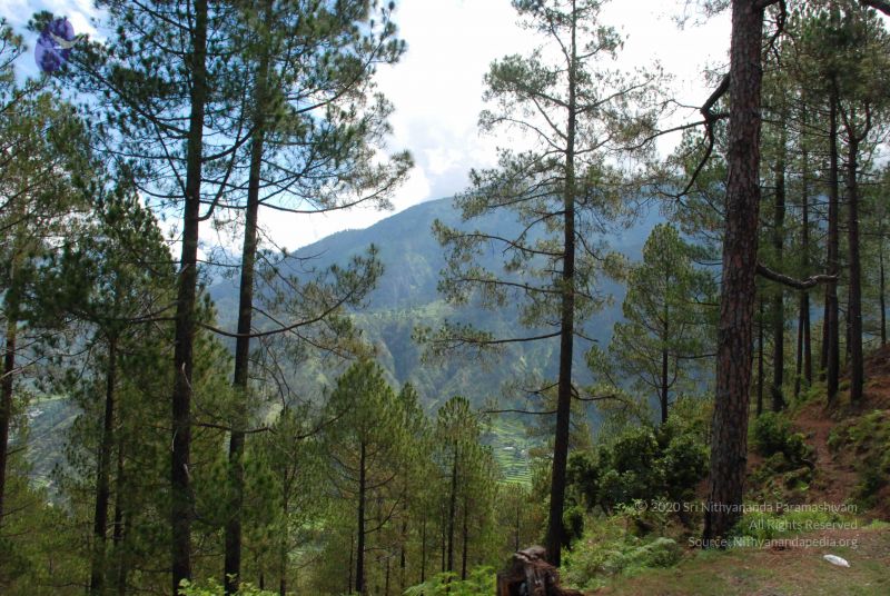 File:20080702 DSC 0194 CMP WM.jpg