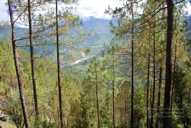 File:20080702 DSC 0207 CMP WM.jpg