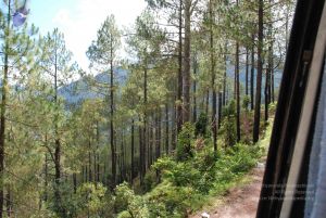 20080702 DSC 0209 CMP WM.jpg