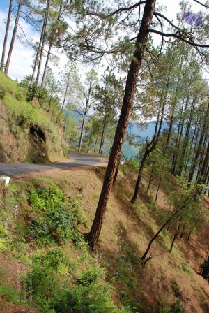 20080702 DSC 0212 CMP WM.jpg