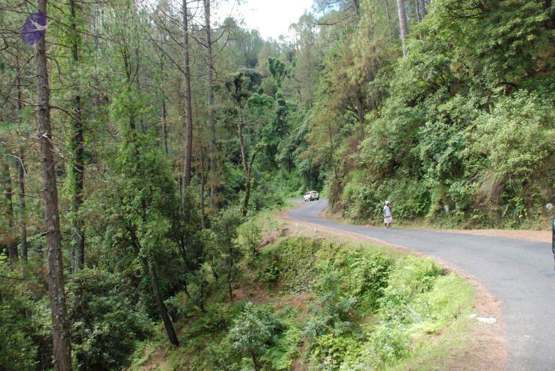 File:20080702 DSC 0214 CMP WM.jpg