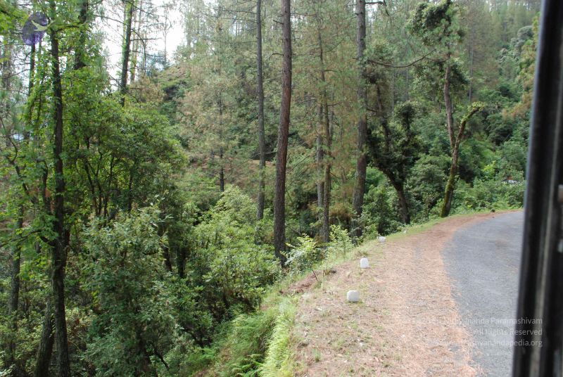 File:20080702 DSC 0216 CMP WM.jpg