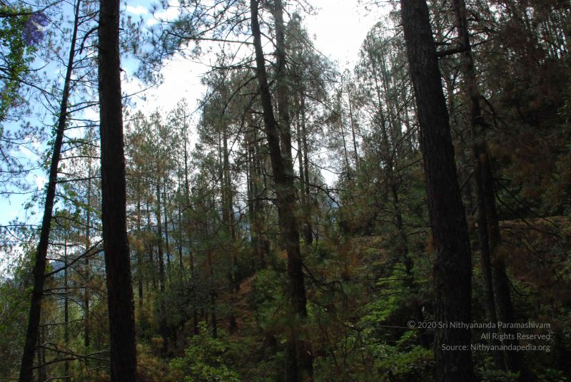 File:20080702 DSC 0218 CMP WM.jpg