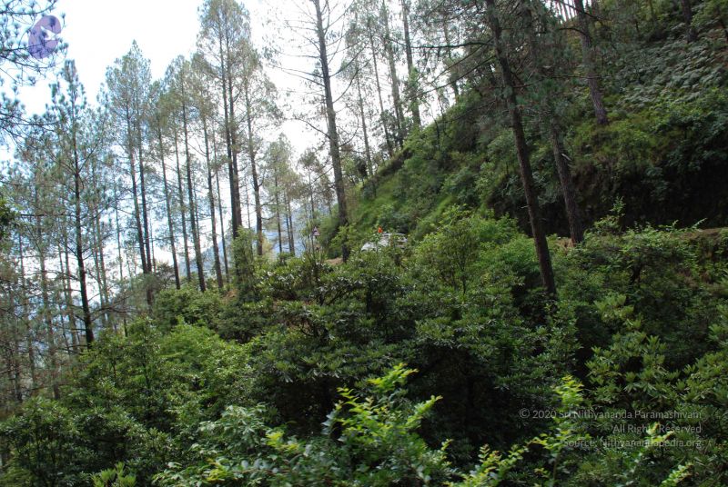 File:20080702 DSC 0221 CMP WM.jpg