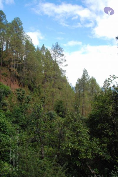 File:20080702 DSC 0236 CMP WM.jpg