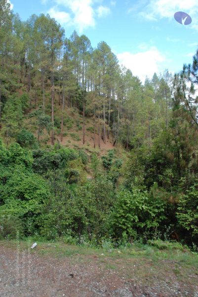 File:20080702 DSC 0237 CMP WM.jpg