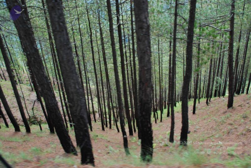 File:20080702 DSC 0244 CMP WM.jpg