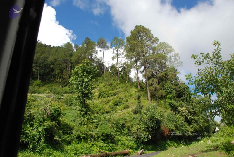 File:20080702 DSC 0248 CMP WM.jpg