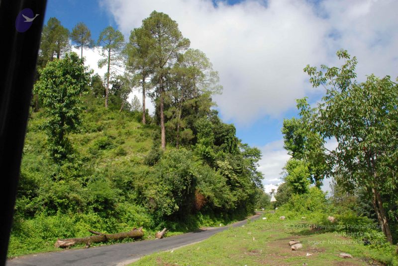 File:20080702 DSC 0249 CMP WM.jpg