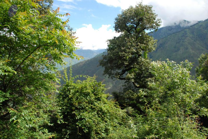 File:20080702 DSC 0256 CMP WM.jpg