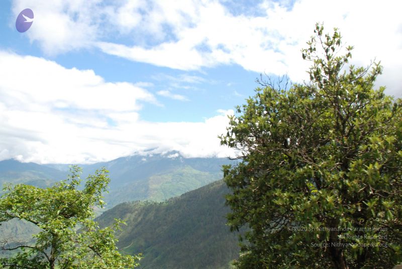 File:20080702 DSC 0257 CMP WM.jpg