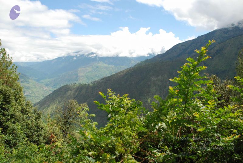 File:20080702 DSC 0262 CMP WM.jpg