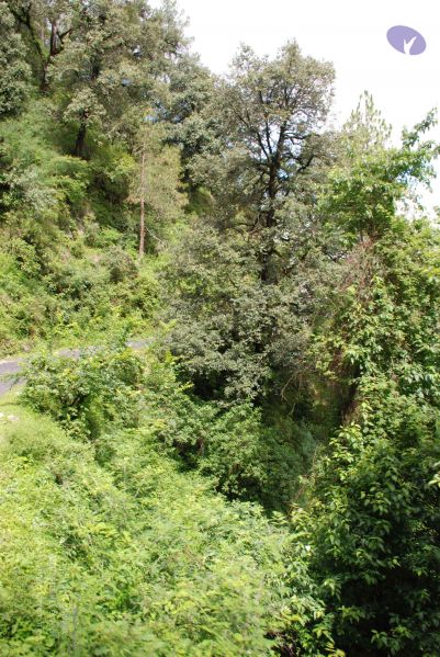 File:20080702 DSC 0264 CMP WM.jpg