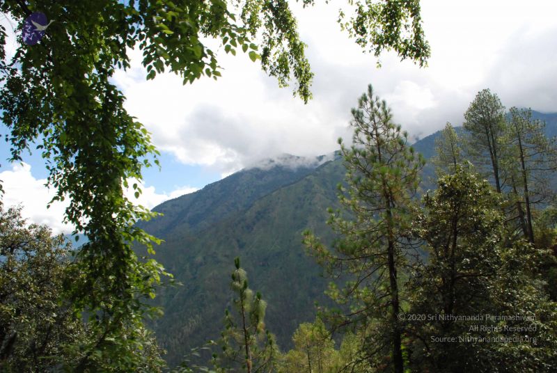 File:20080702 DSC 0265 CMP WM.jpg