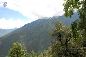 20080702 DSC 0266 CMP WM.jpg