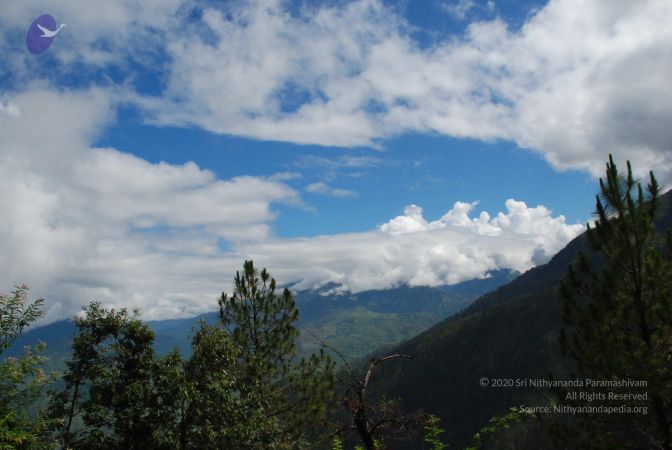 20080702 DSC 0268 CMP WM.jpg