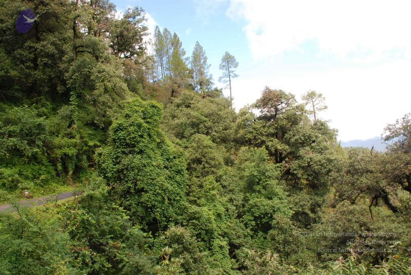 File:20080702 DSC 0269 CMP WM.jpg