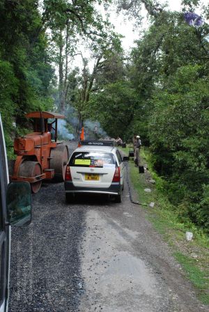 20080702 DSC 0283 CMP WM.jpg