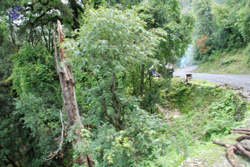 File:20080702 DSC 0287 CMP WM.jpg