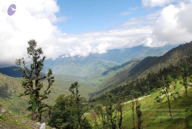 File:20080702 DSC 0289 CMP WM.jpg