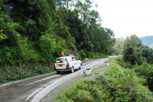 20080702 DSC 0298 CMP WM.jpg