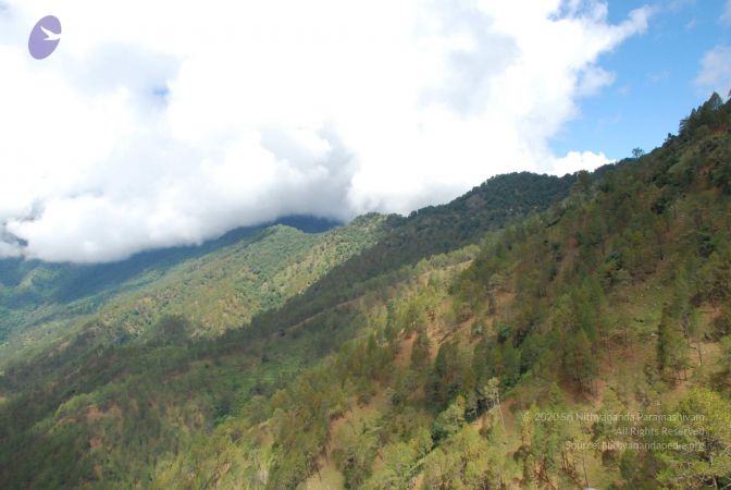 20080702 DSC 0305 CMP WM.jpg