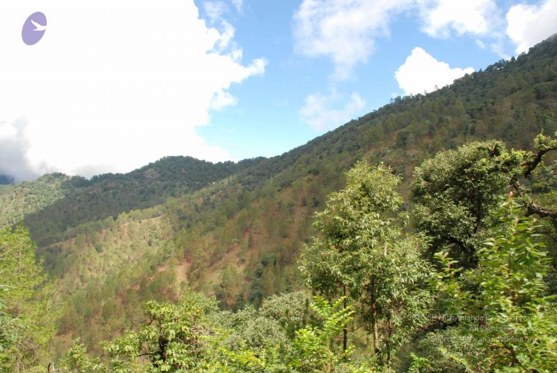 File:20080702 DSC 0311 CMP WM.jpg