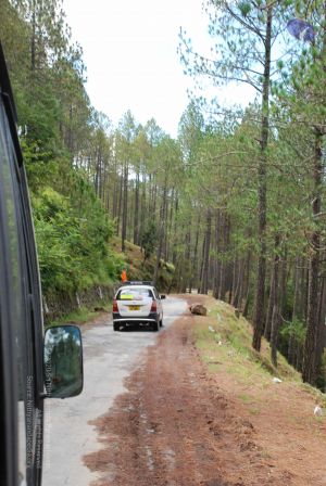 20080702 DSC 0316 CMP WM.jpg