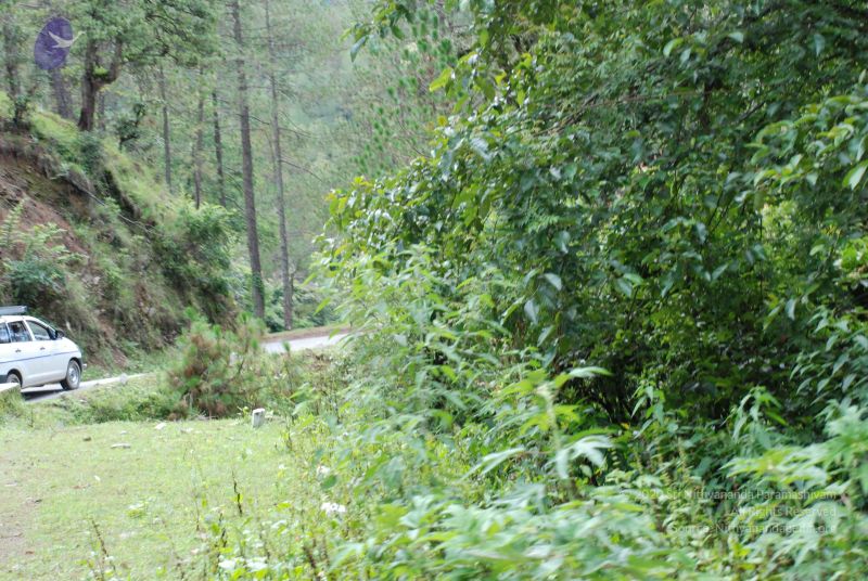 File:20080702 DSC 0321 CMP WM.jpg