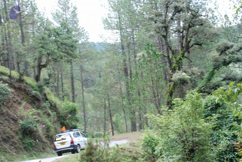 File:20080702 DSC 0322 CMP WM.jpg