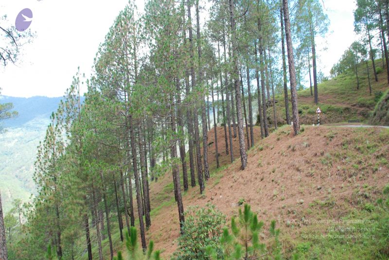 File:20080702 DSC 0346 CMP WM.jpg