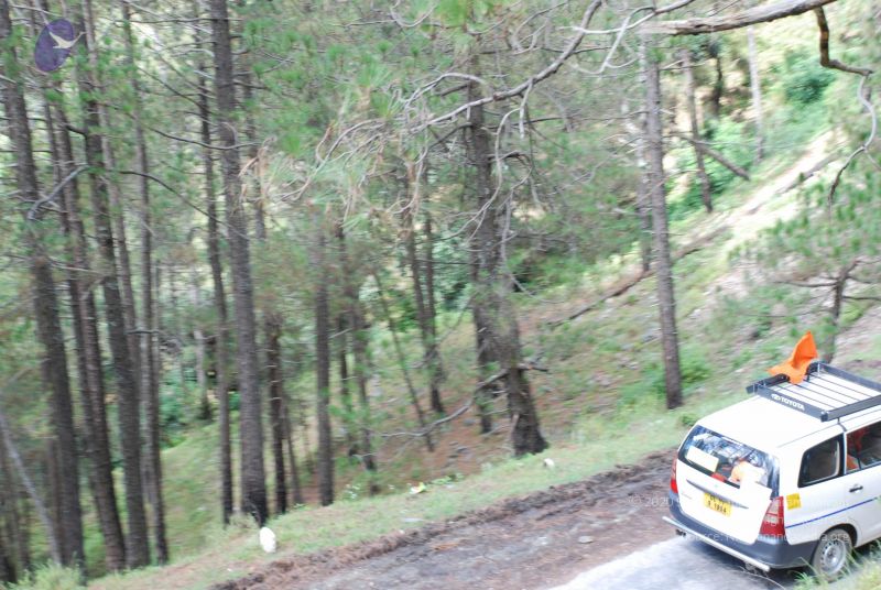 File:20080702 DSC 0349 CMP WM.jpg