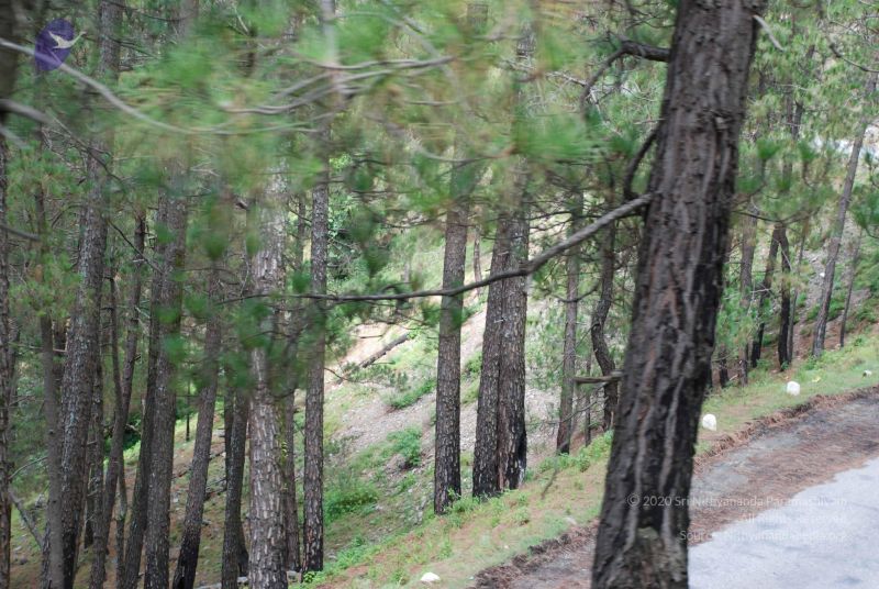 File:20080702 DSC 0351 CMP WM.jpg