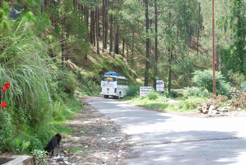 File:20080702 DSC 0374 CMP WM.jpg