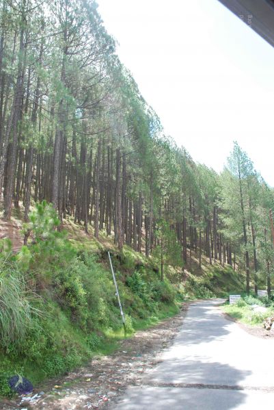 File:20080702 DSC 0379 CMP WM.jpg