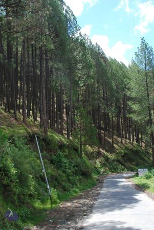 20080702 DSC 0381 CMP WM.jpg