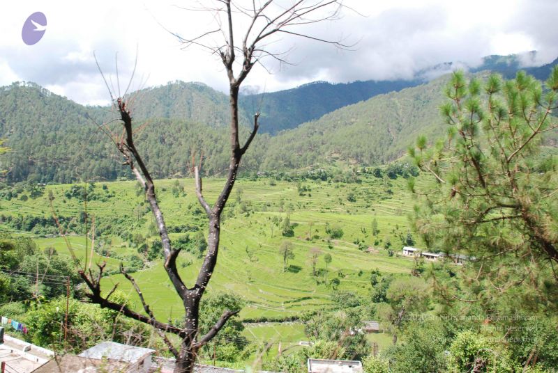 File:20080702 DSC 0428 CMP WM.jpg