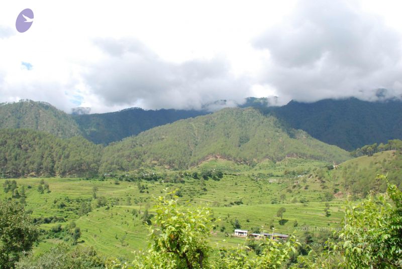 File:20080702 DSC 0431 CMP WM.jpg