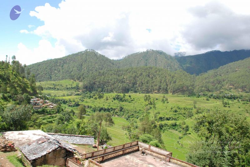 File:20080702 DSC 0433 CMP WM.jpg