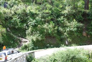 20080702 DSC 0437 CMP WM.jpg