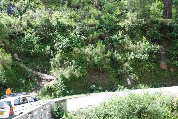 20080702 DSC 0437 CMP WM.jpg