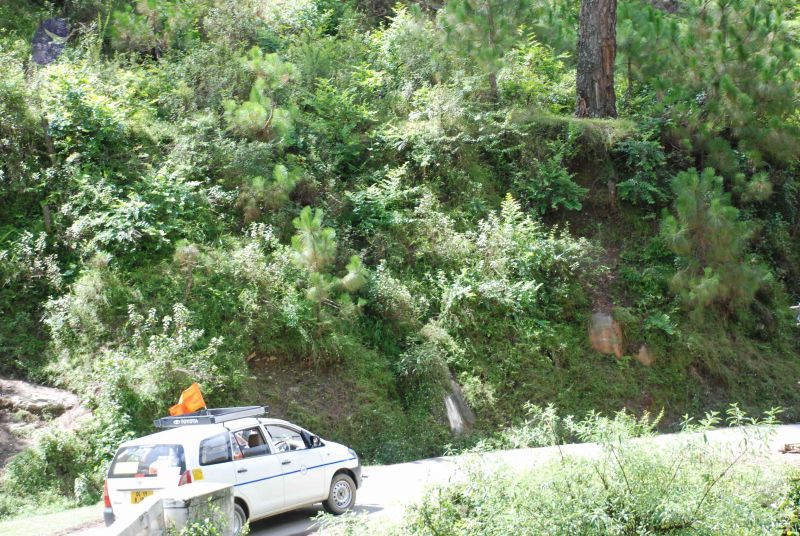 File:20080702 DSC 0438 CMP WM.jpg