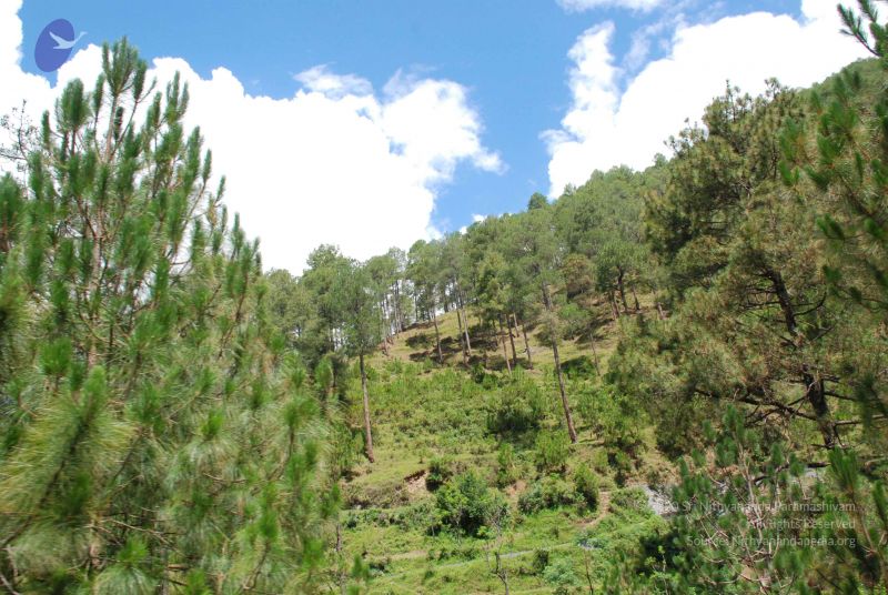 File:20080702 DSC 0441 CMP WM.jpg