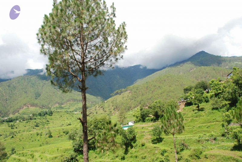 File:20080702 DSC 0444 CMP WM.jpg