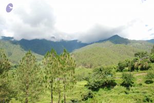 20080702 DSC 0448 CMP WM.jpg