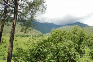 20080702 DSC 0451 CMP WM.jpg