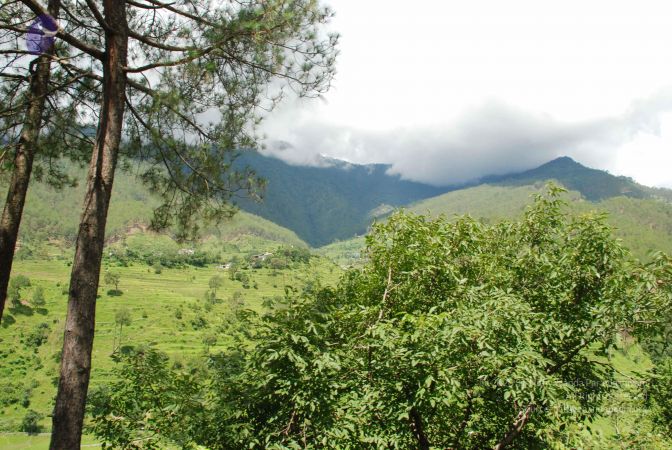 20080702 DSC 0451 CMP WM.jpg