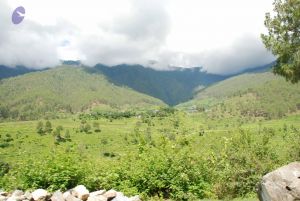 20080702 DSC 0452 CMP WM.jpg