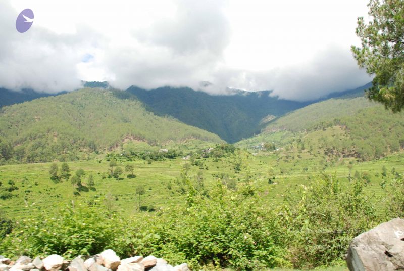 File:20080702 DSC 0452 CMP WM.jpg