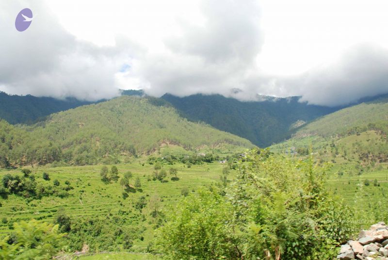 File:20080702 DSC 0453 CMP WM.jpg